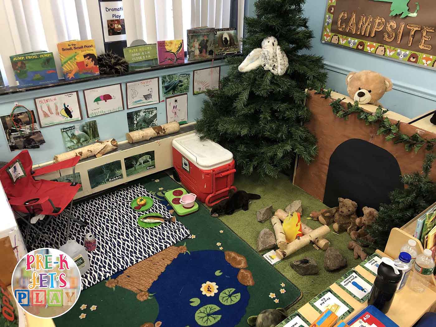 Dramatic Play Themes