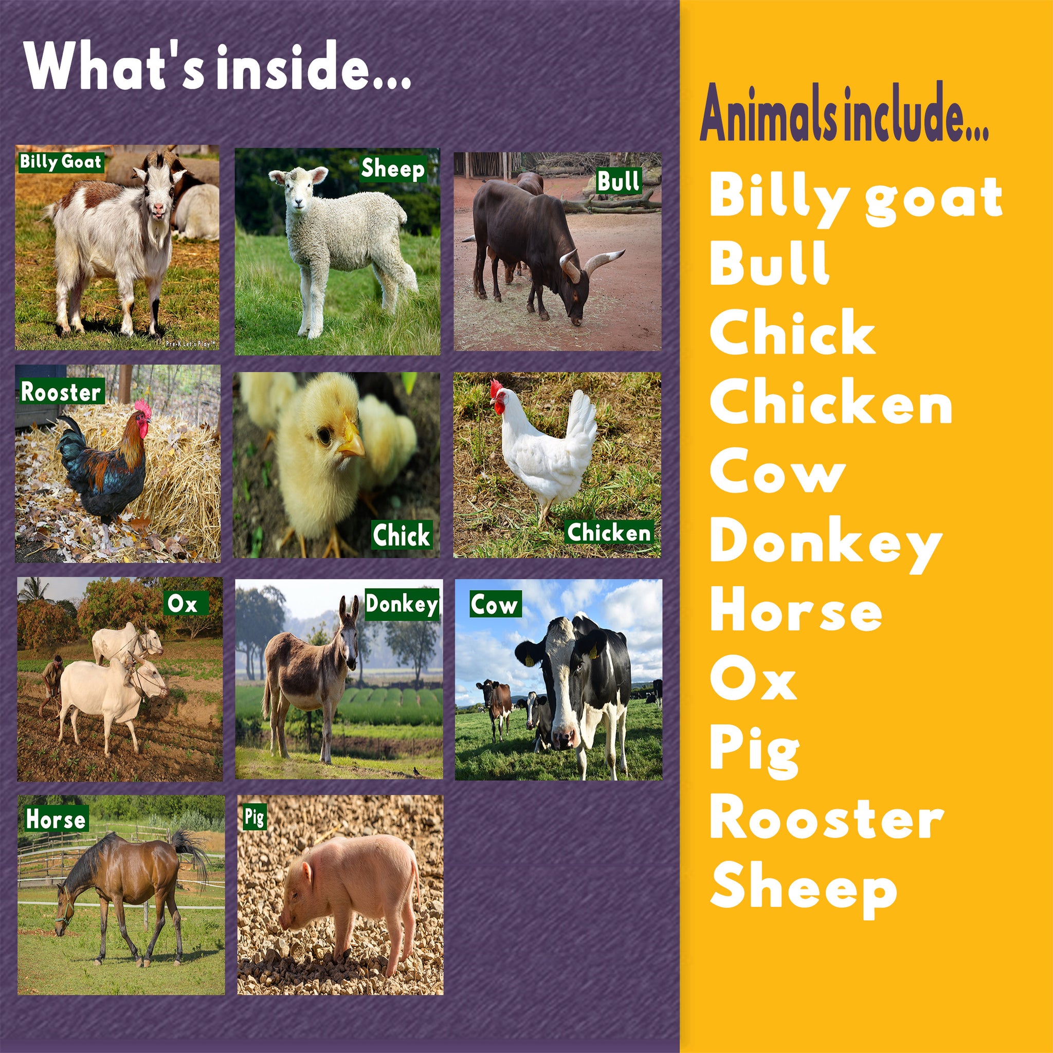 Number Strip Puzzles for Farm Animals | Number Order Sequencing & Skip