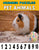 Number Strip Puzzles for Pet Animals | Number Order Sequencing & Skip Counting