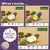 Desert Animals | Math Pattern Block Templates printables