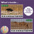 Number Strip Puzzles for Desert Animals | Number Order and Skip Counting