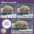 Arctic Winter Animals Number Strip Puzzles | Number Order and Skip Counting