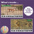 Grassland Animals Number Strip Puzzles | Number Order Sequencing & Skip Counting
