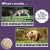 Woodland Animals Number Strip Puzzles | Number Order Sequencing & Skip Counting